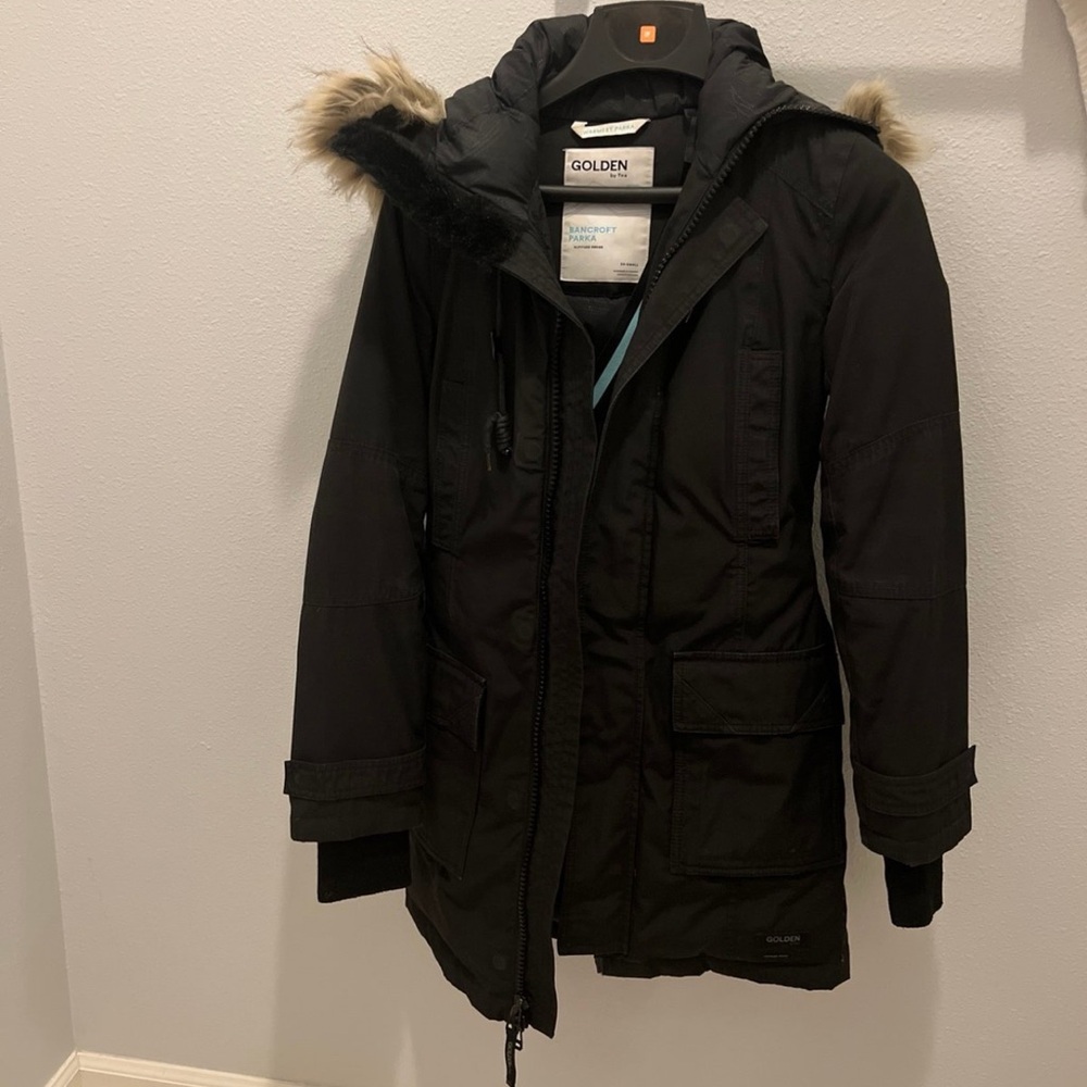 Aritzia parka